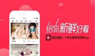 西瓜头条视频,揭秘热门视频背后的故事与幕后花絮